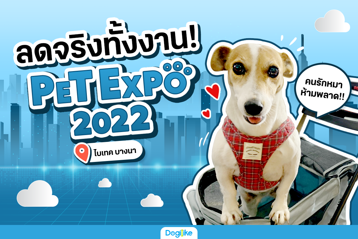 Dogilike พาตะลุย PET EXPO THAILAND 2022 !! ลดจริงทั้งงาน